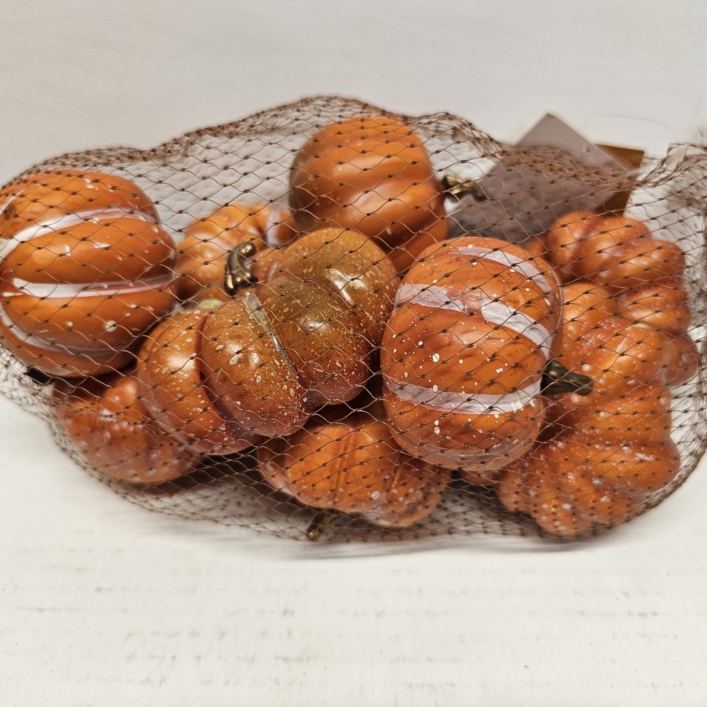 Bag of 10 Assorted Decorative Pumpkins. Great For Fall Crafting or Decorating!